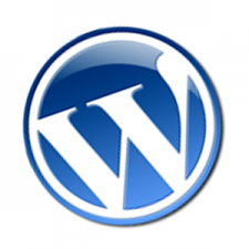 wp-logo
